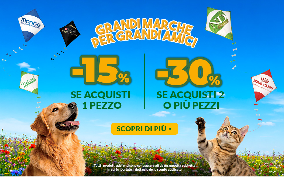 Grandi Marche