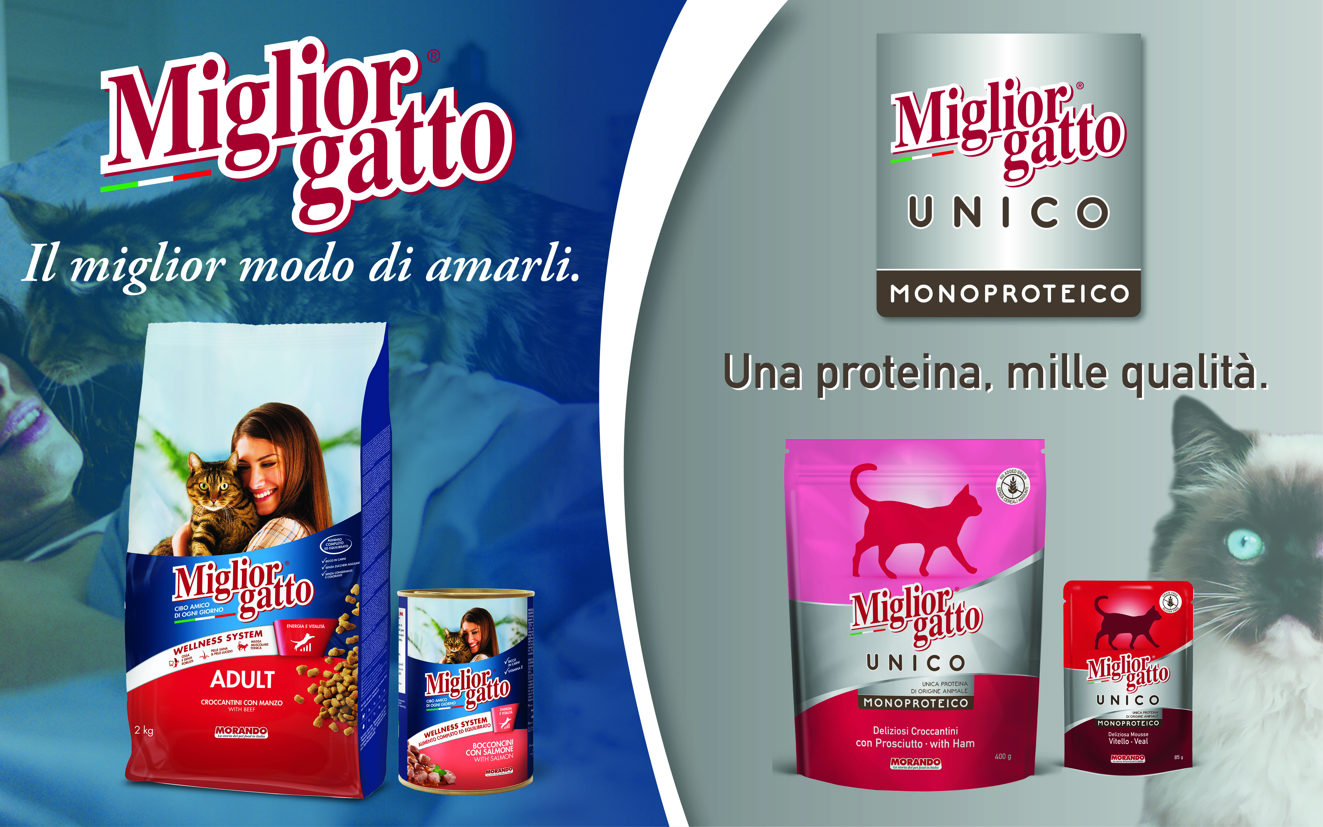 Migliorgatto