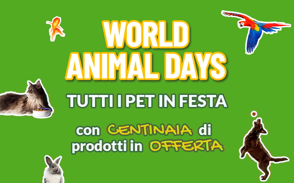 Promozioni