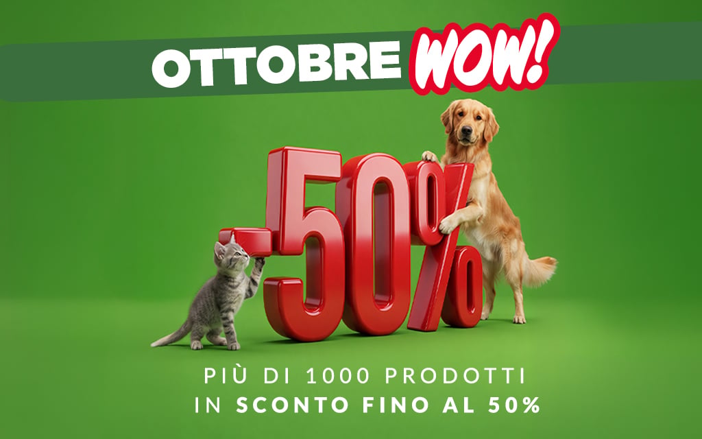 Promozioni