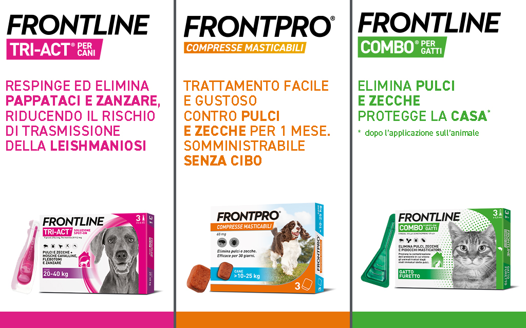 Frontline