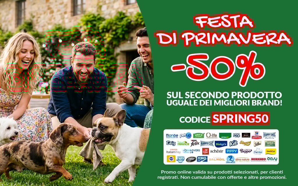 Festa di primavera