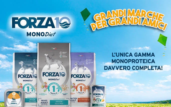 Forza 10