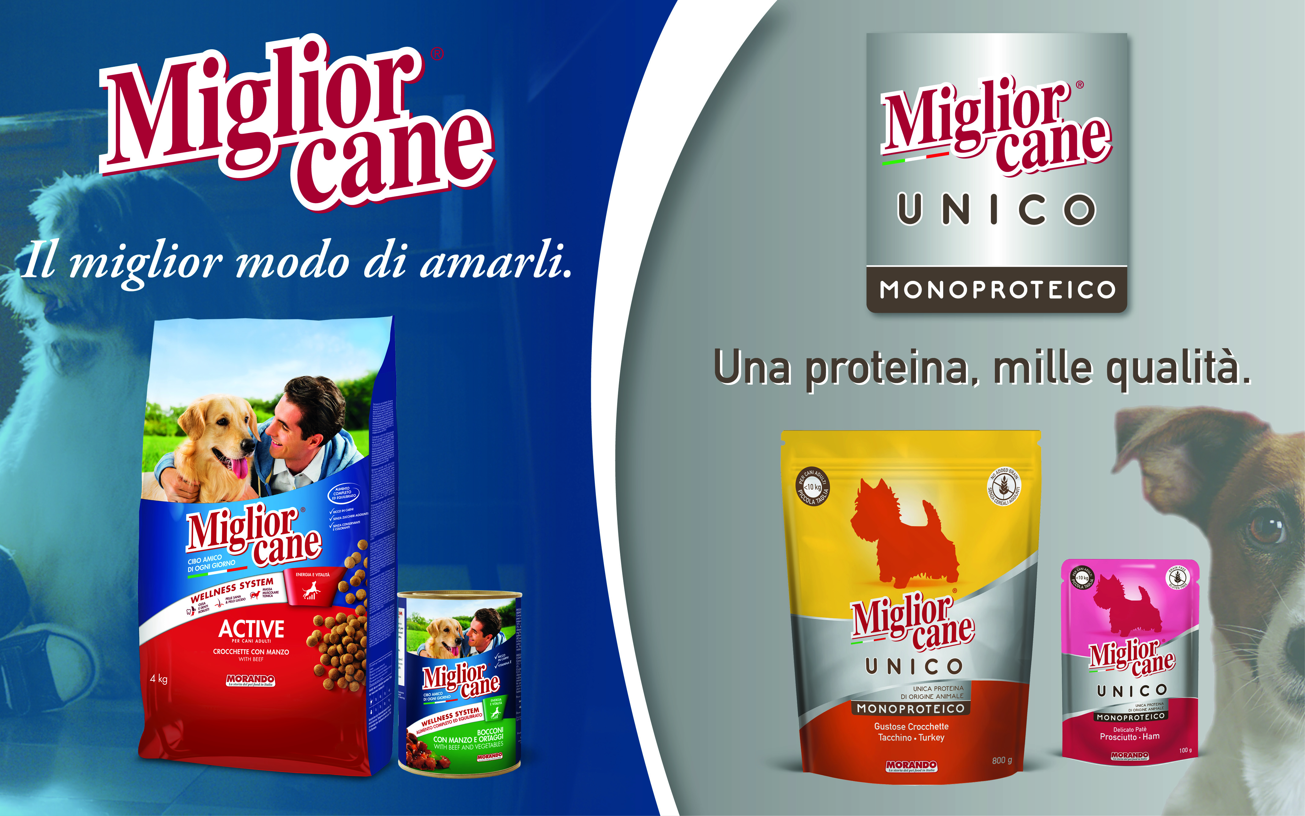 Migliorcane