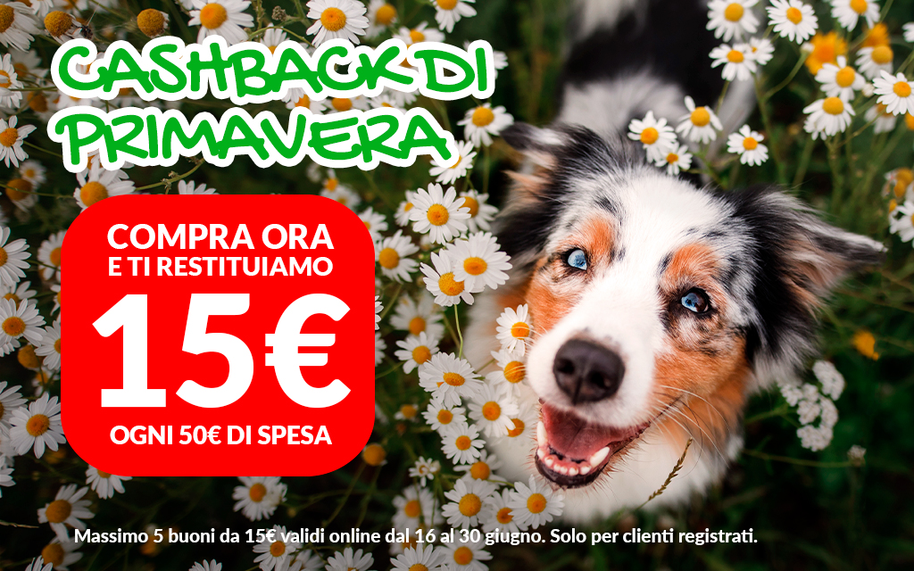 Tutti i prodotti