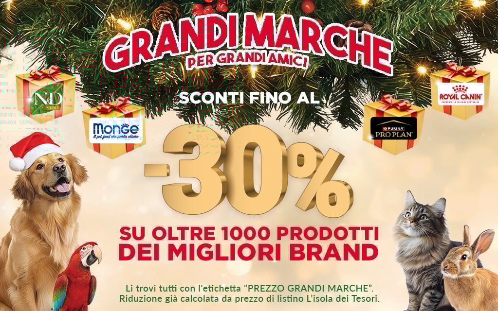 Grandi Marche