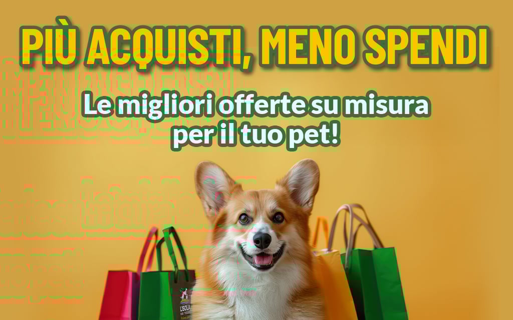 Promozioni