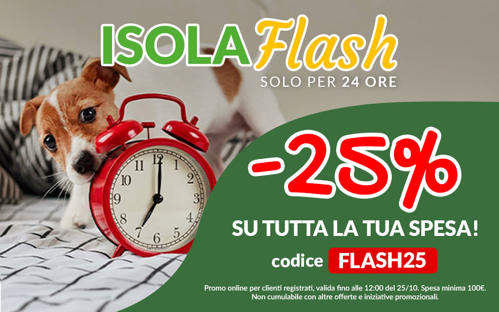 Isola flash