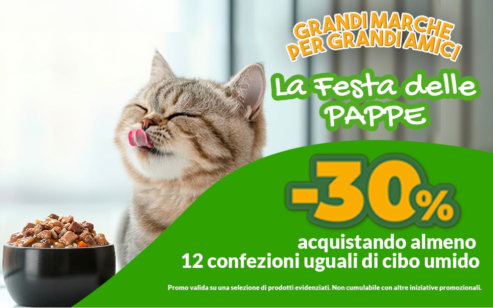 Grandi Marche 12 pezzi al -30%