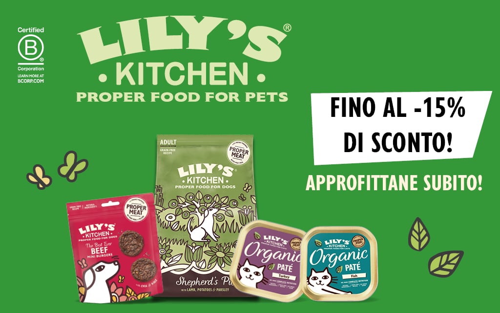 Lily'S Kitchen