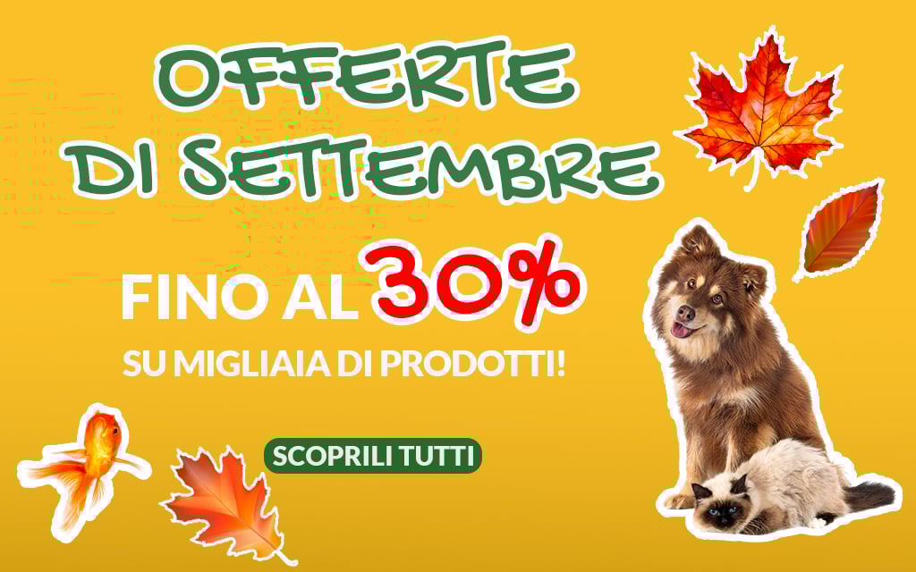 Promozioni cane