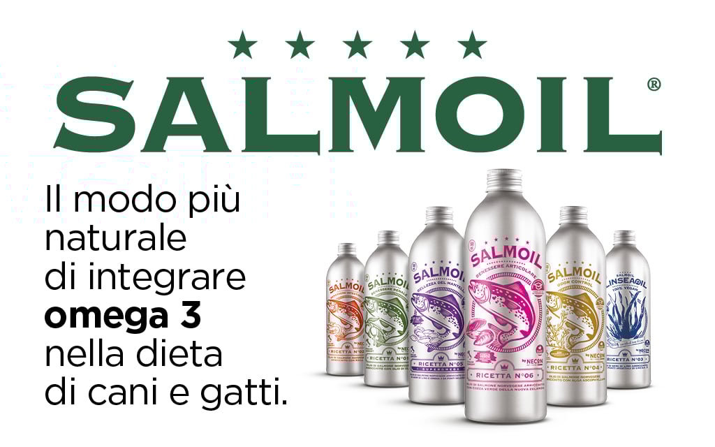Salmoil
