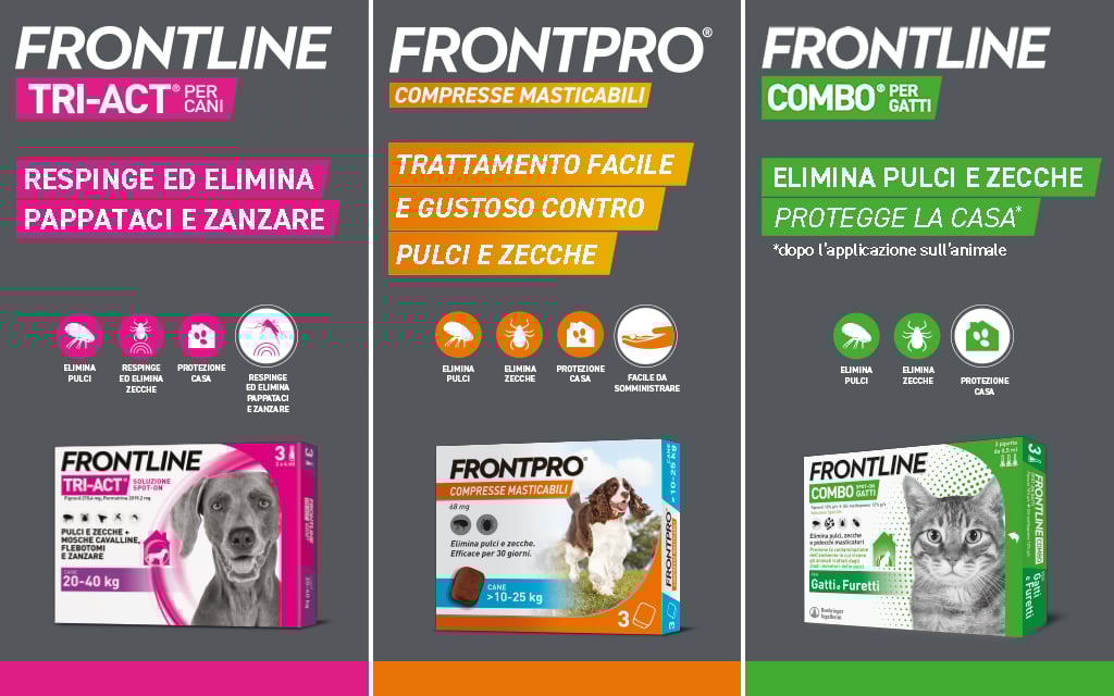 Frontline