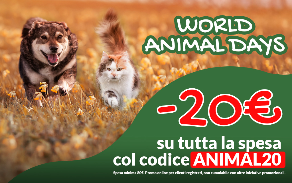 Giornata degli animali