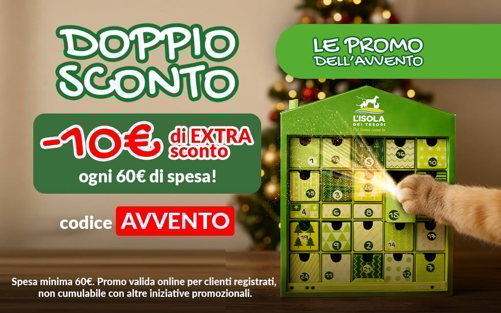 Le promo dell'Avvento