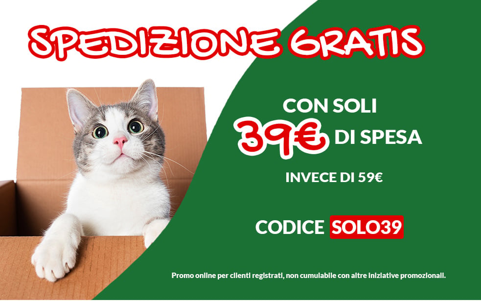 Promo spedizione