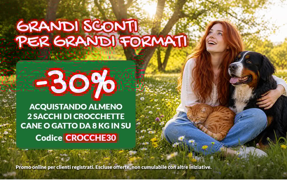 Promo crocche