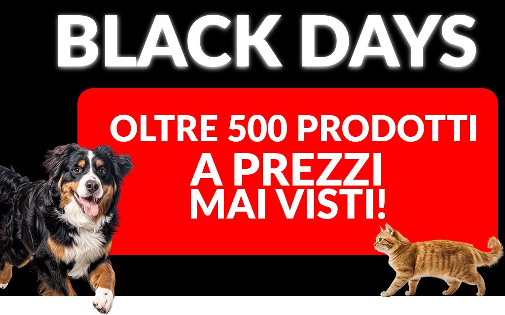 Black Days
