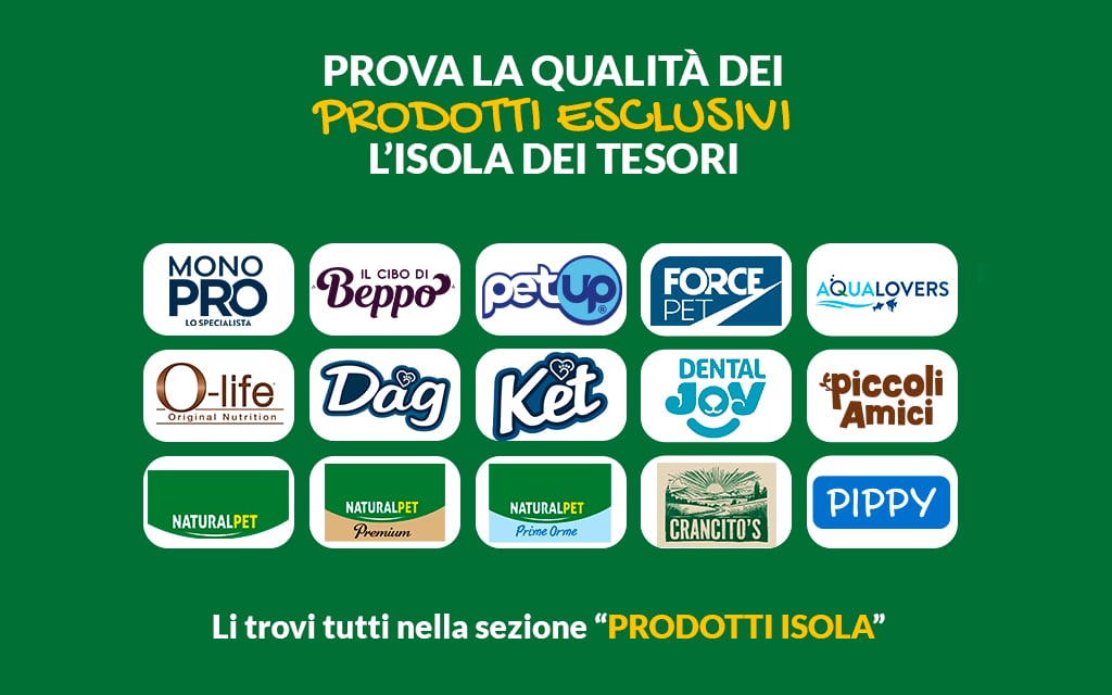 Prodotti e accessori per gatti