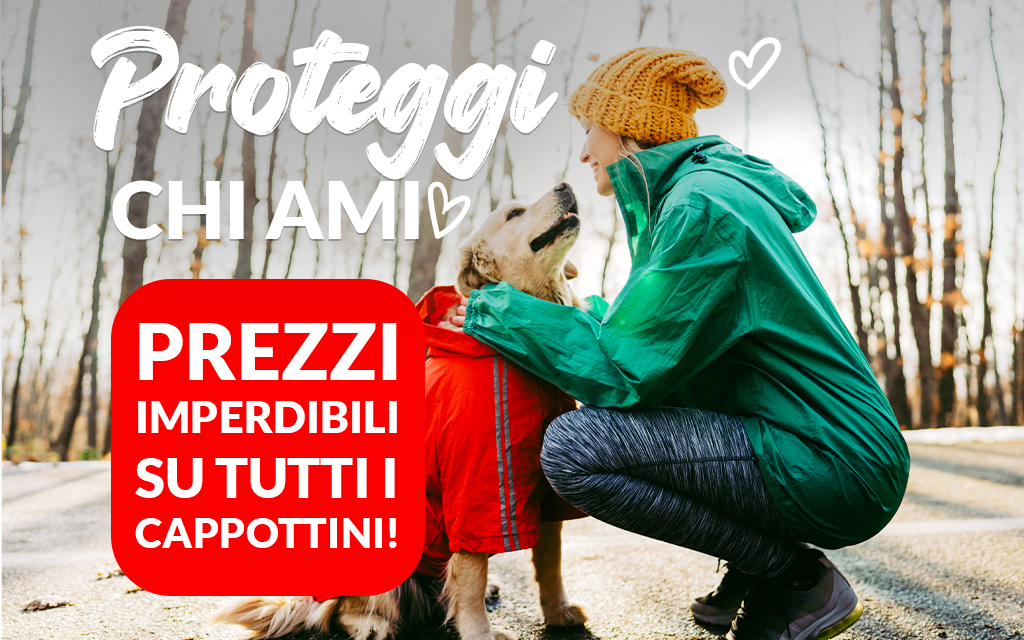 Abbigliamento per cani