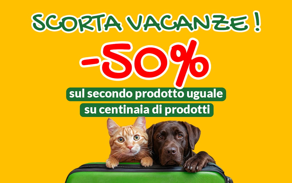 Scorta Vacanze