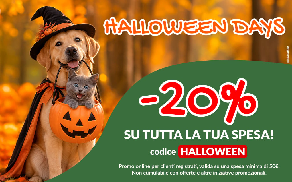 Halloween Days