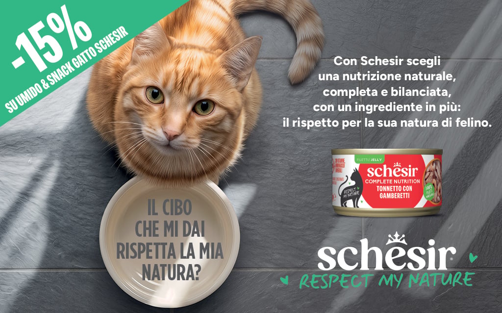 Brand del mese