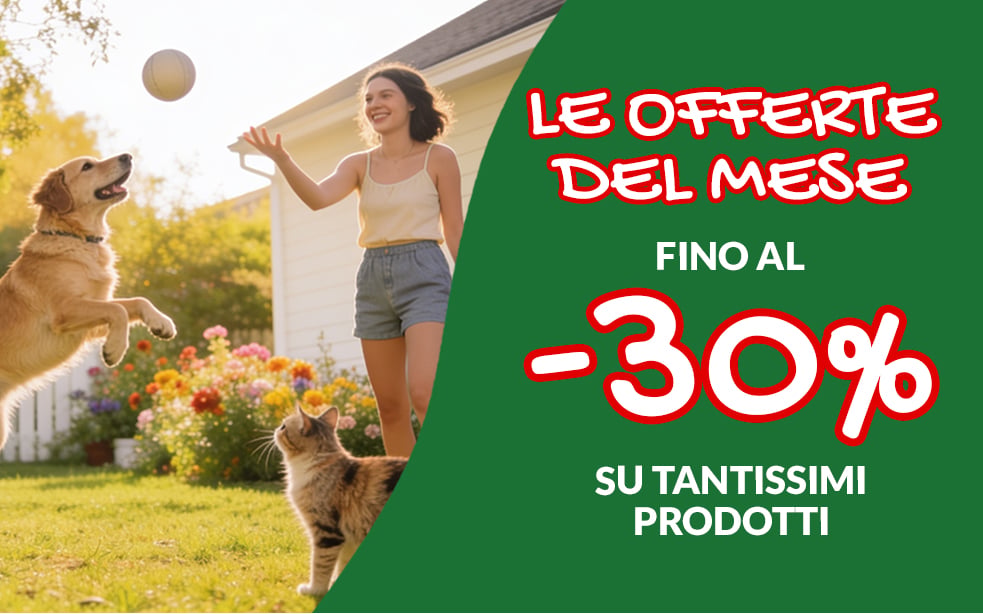 Promozioni