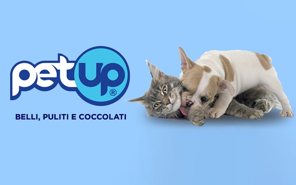 Distributori e dispenser per gatti