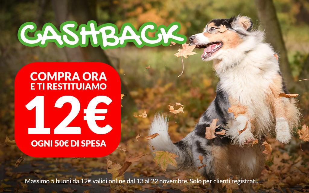 Tutti i prodotti